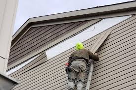 Best Steel Siding Installation  in Durand, MI